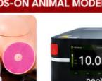 Hands-on Animal Model Simulation